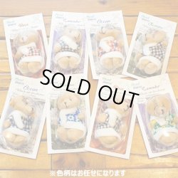 画像3: Plush Bear Air Fresheners【全4種】