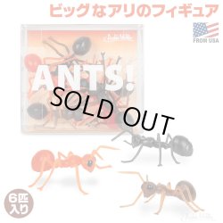 画像1: ANTS!