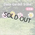 Colorful Daisy Garden Stake【全4種】