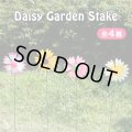 Colorful Daisy Garden Stake【全4種】