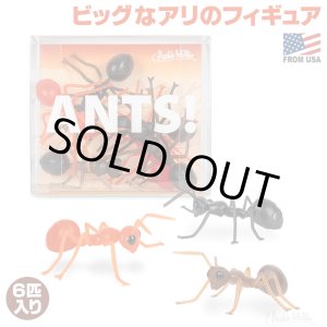 画像: ANTS!