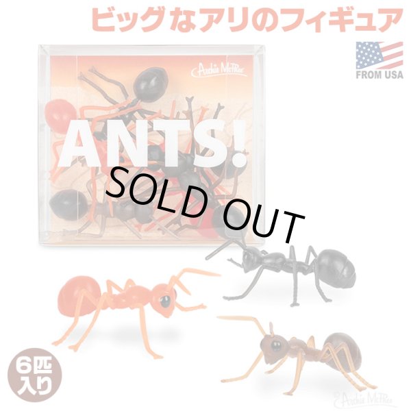 画像1: ANTS!