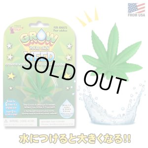 画像: Grow Your Own Weed