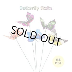 画像: Butterfly Stakes