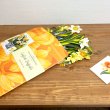 画像3: Fresh-cut Paper POP-UP Flower Bouquet