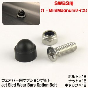 画像: Jet Sled Wear Bar Kit Option Bolt （ジェットスレッド ウェアバー オプションボルト SWB3用）