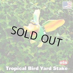 画像: Yard Stake Tropical Bird with Springing Wings【全6種】